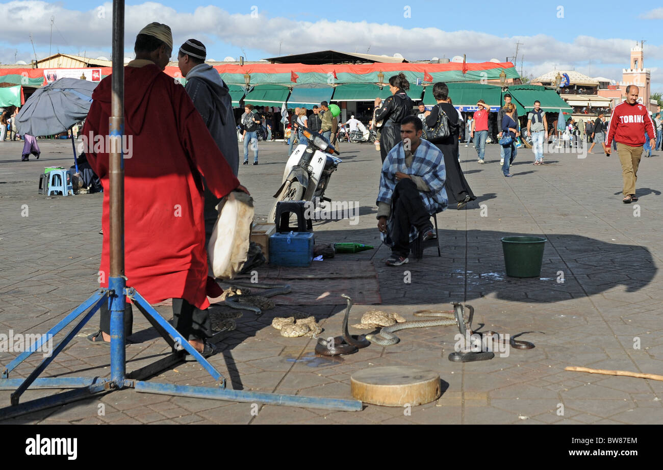 Maroc Marrakech - 2010 charmeurs de la célèbre place Djemaa El-Fna à Marrakech place du marché Banque D'Images