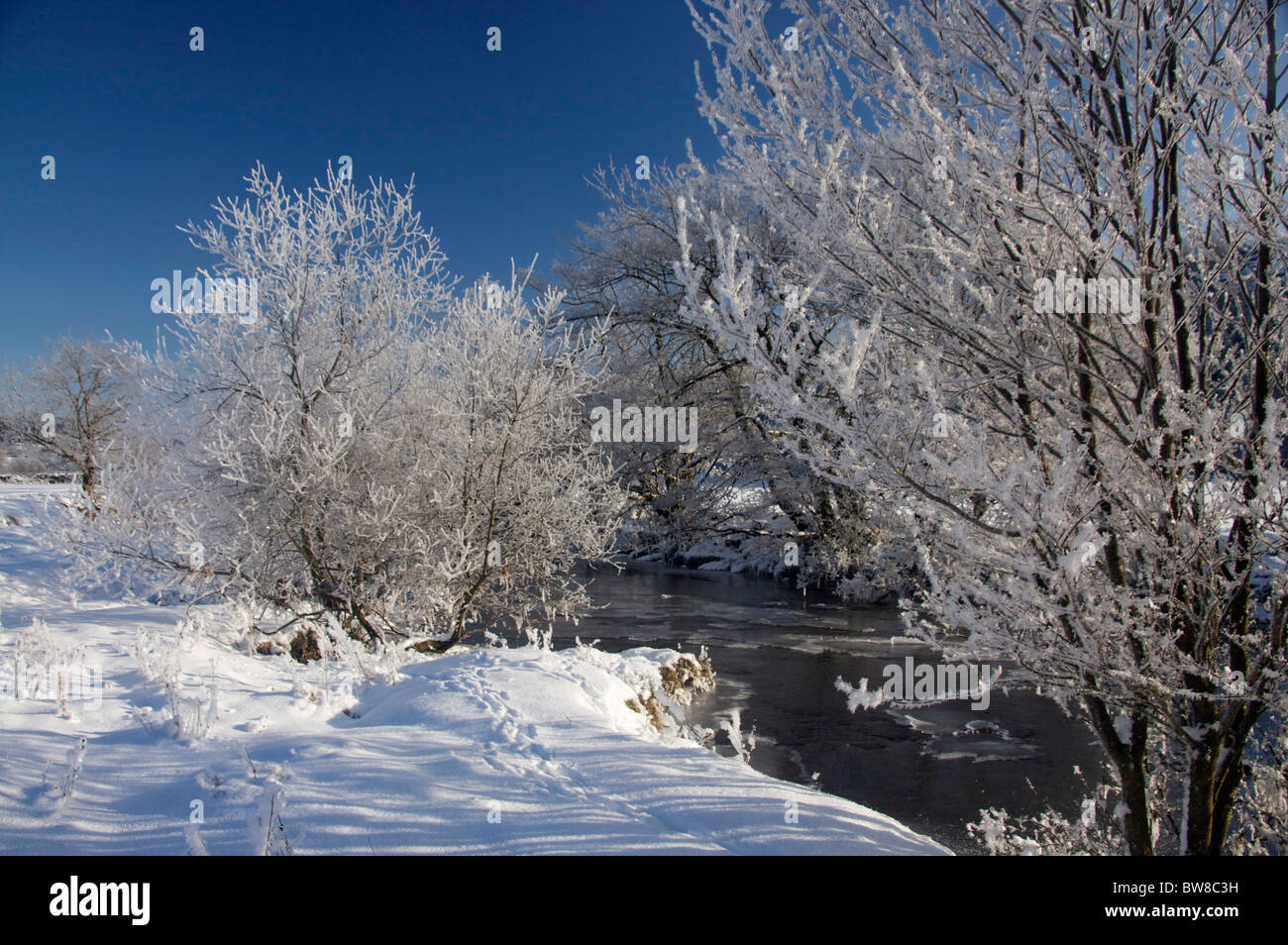 Rivière près de Betws-Y-coed dans neige hiver avec des arbres couverts de glace / neige / frost Conwy County North Wales UK Banque D'Images