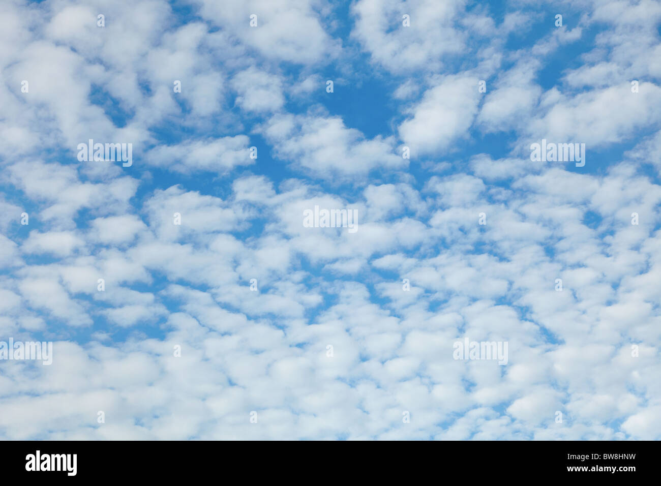 L'été jour ciel bleu avec nuages facile Banque D'Images
