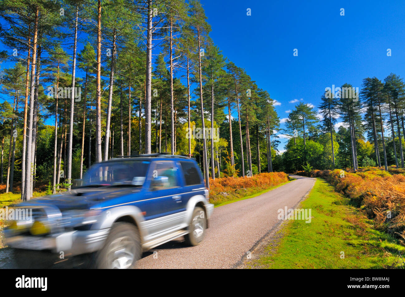 Véhicule en passant par une route de campagne pittoresque au cœur de la New Forest, Hampshire, Royaume-Uni Banque D'Images