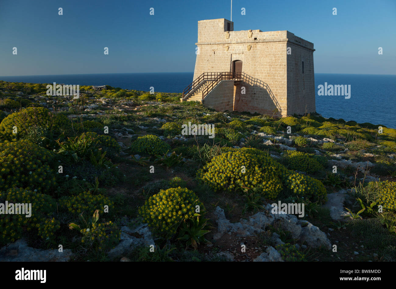 Le chevalier de la tour côtière sur la haute falaise à Ta Sopu dans Nadur Gozo à Malte. Banque D'Images