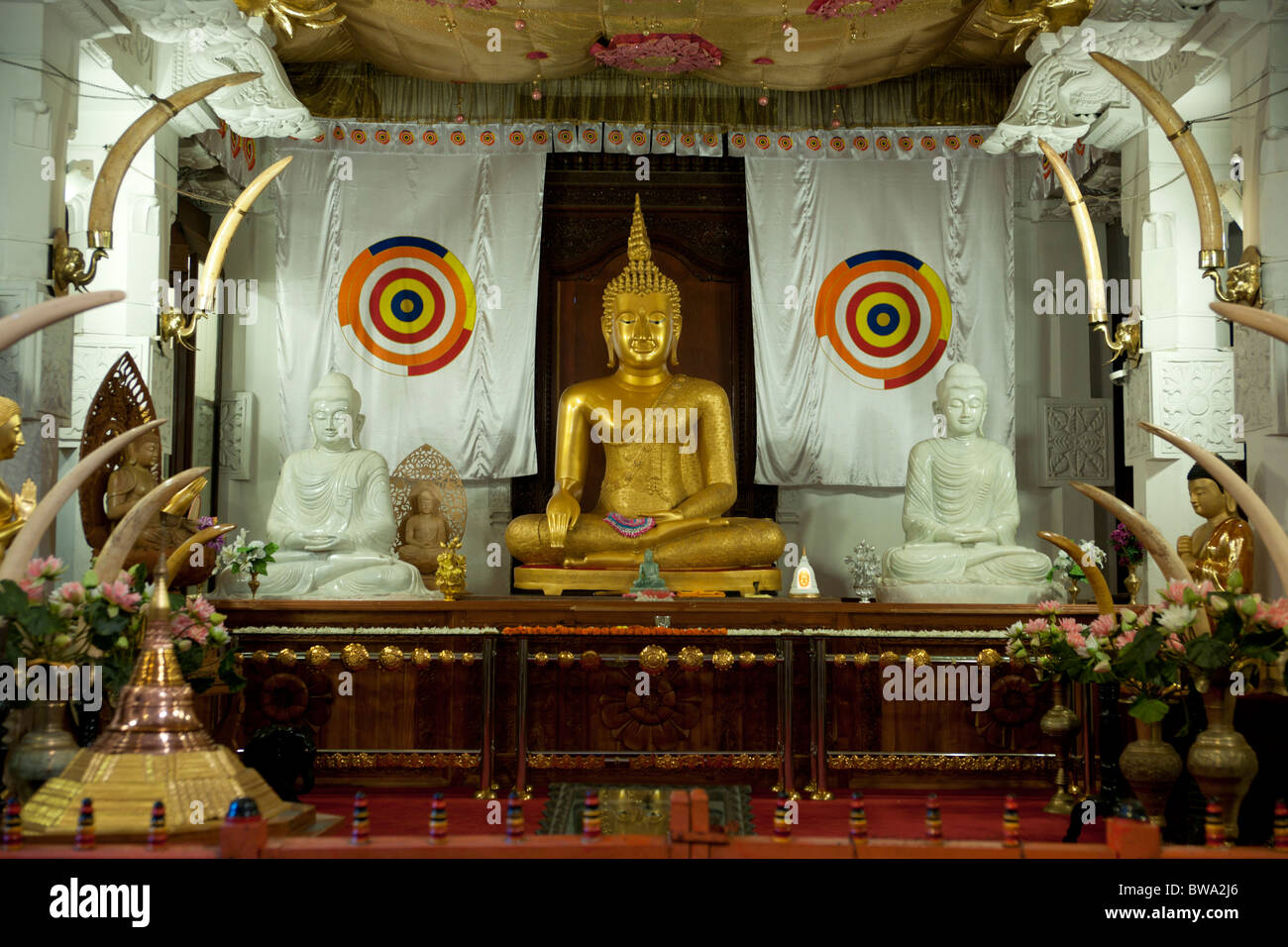 Bouddha en or dans le Temple de la dent, Kandy, Sri Lanka Banque D'Images
