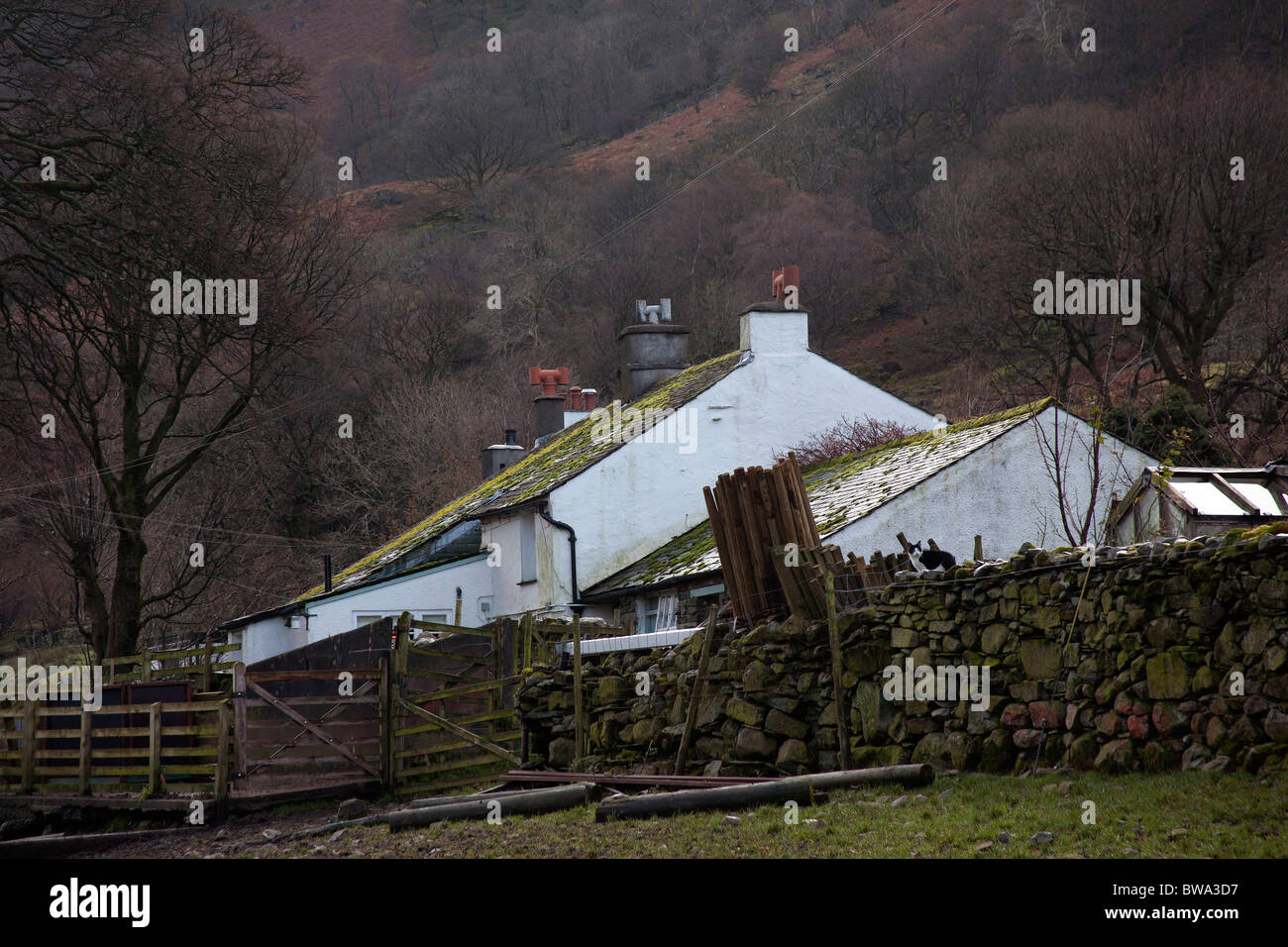 Maison Stonethwaite, Borrowdale, Parc National de Lake District, Cumbria Banque D'Images