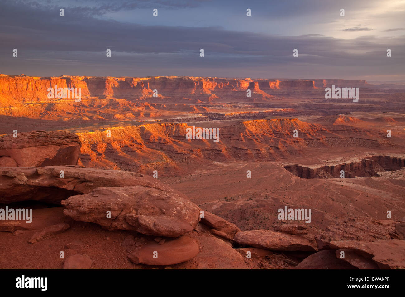 De Canyonlands listel blanc donnent sur l'île, dans le ciel, Canyonlands National Park, Utah Banque D'Images