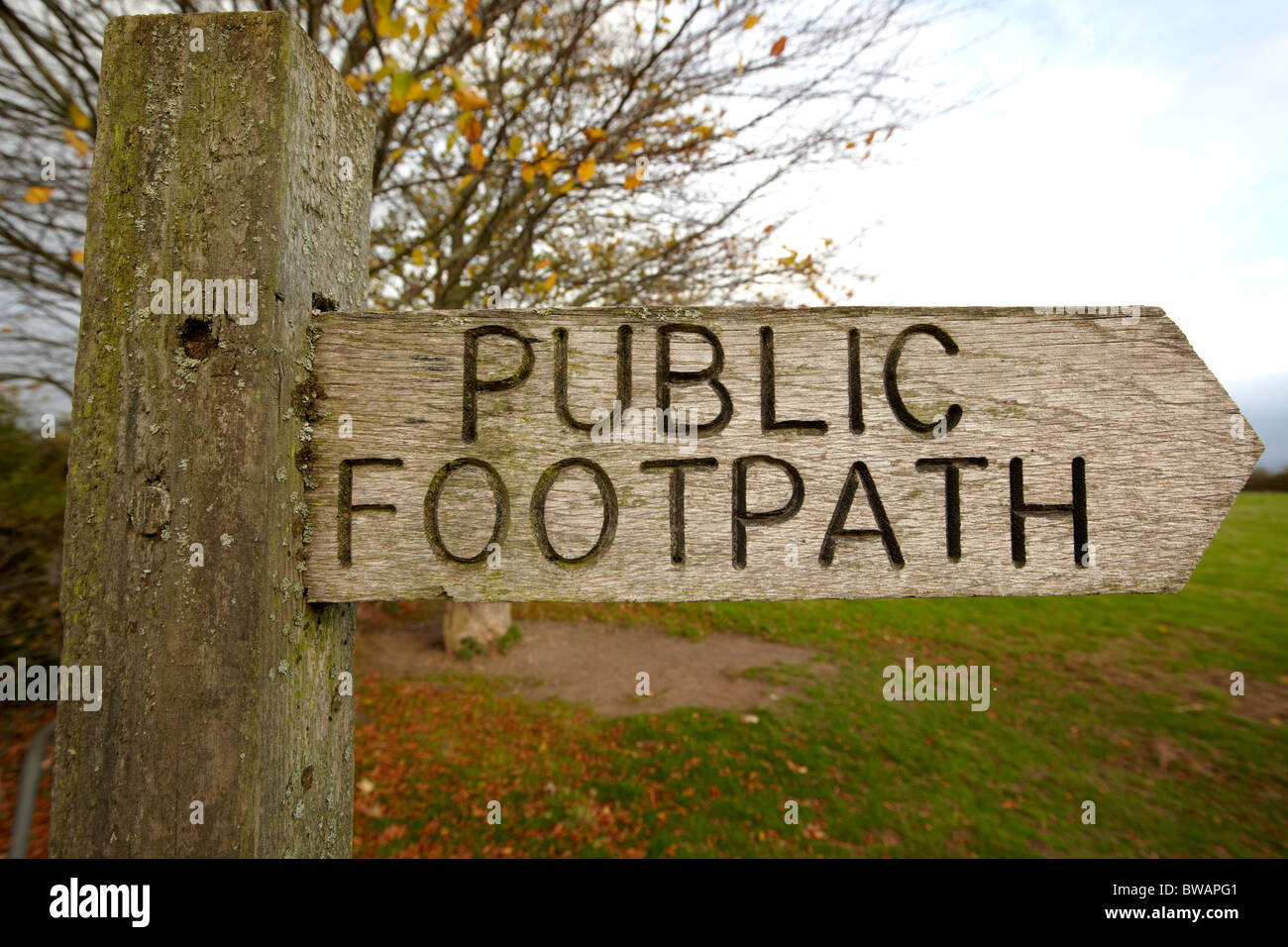 Sentier public à Glastonbury Tor UK Somerset Banque D'Images