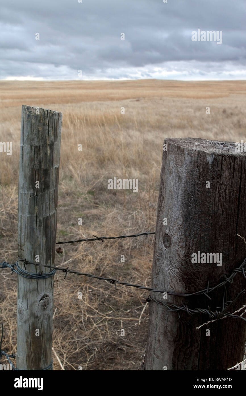 Gateposts d'une clôture en fil barbelé dans le Wyoming sur un jour de tempête Banque D'Images