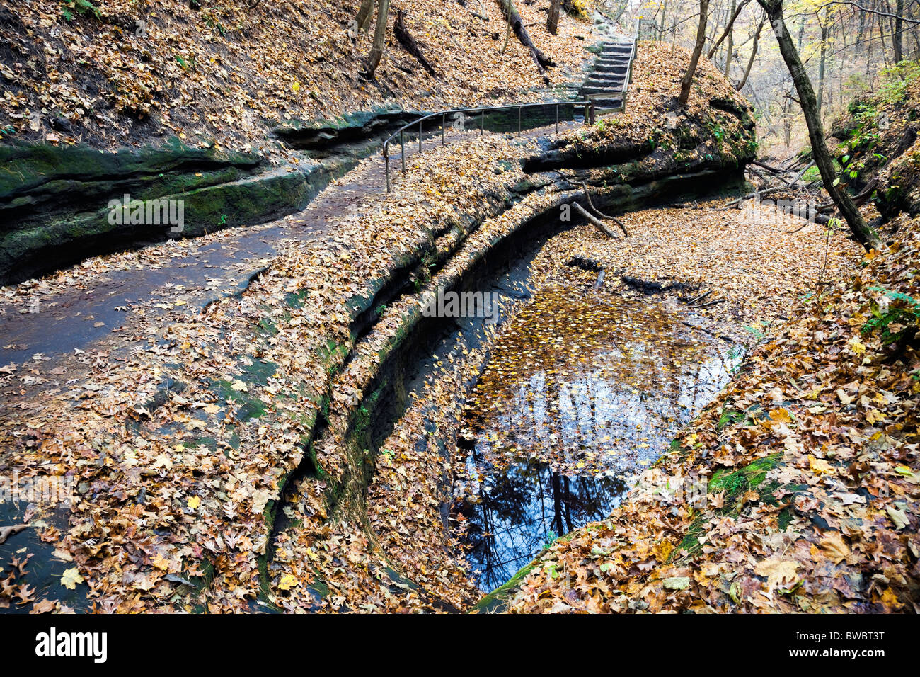 Sentier dans Starved Rock State Park Banque D'Images