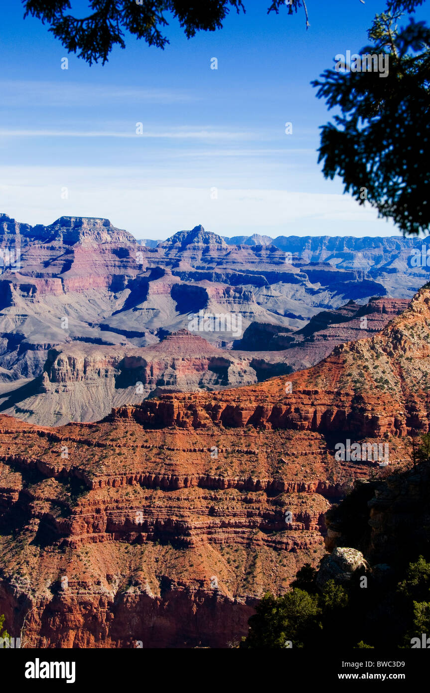 Le Parc National du Grand Canyon en Arizona Banque D'Images