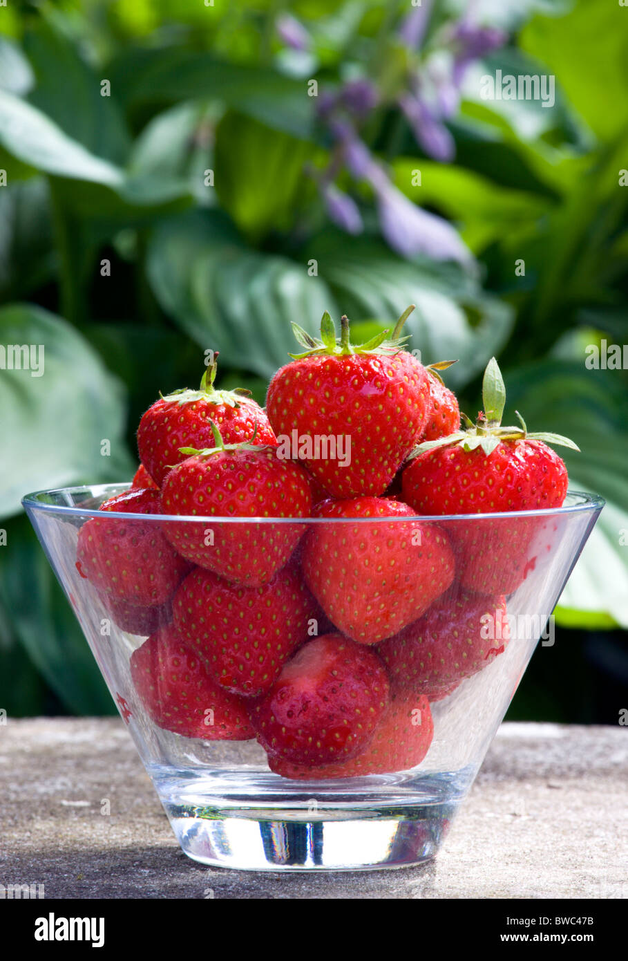 Nourriture, fruits, fraise, bol en verre avec des fraises d'été sur un banc de pierre dans un jardin. Banque D'Images