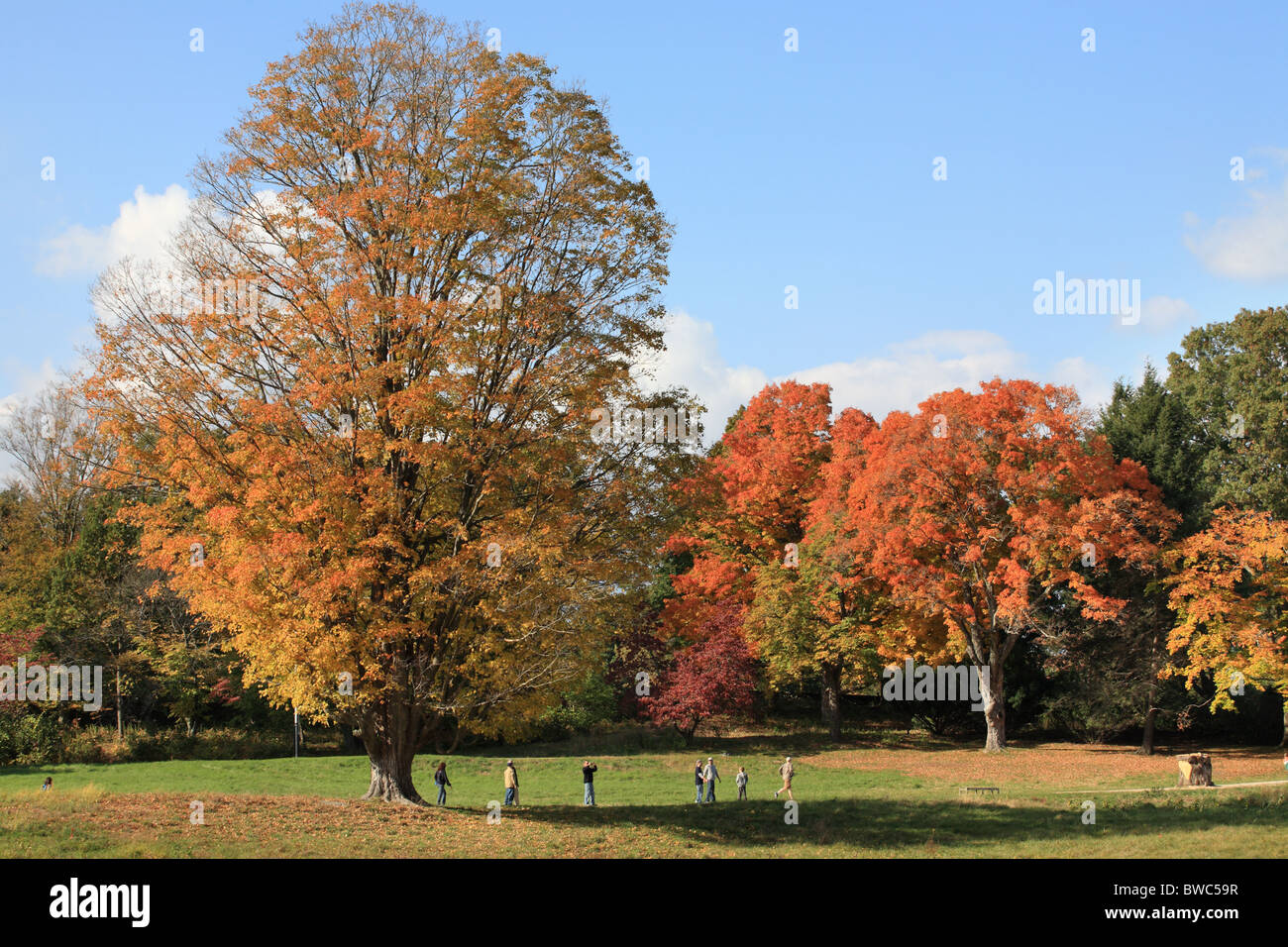 Les marcheurs d'admirer les couleurs de l'automne dans la Minute Man National Park, Concord, Massachusetts, USA Banque D'Images