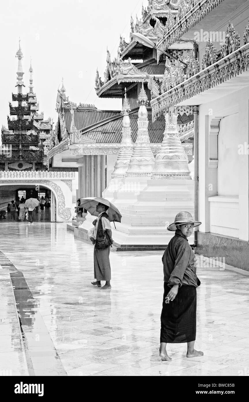Paya shwedagon à Yangon temple bouddhiste birman Birmanie Myanmar rangoon voir Banque D'Images