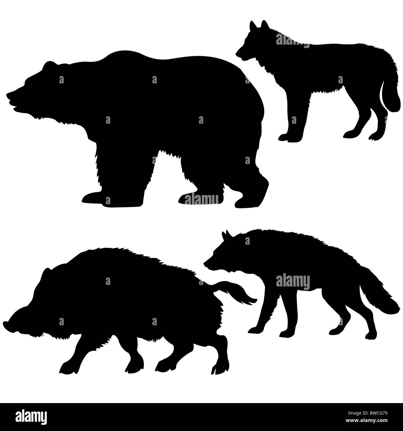 Silhouettes des sangliers, ours, loup, hyène sur fond blanc Banque D'Images
