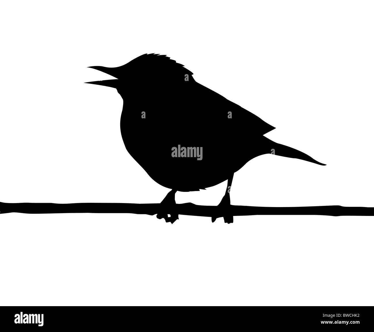 Vector silhouette de l'oiseau sur la branche Banque D'Images