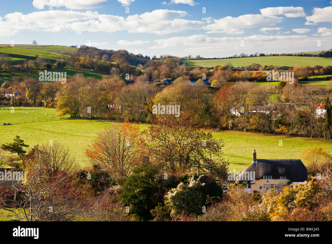 Vue d'automne sur la colline de Marleycombe village de Bowerchalke Wiltshire, England, UK Banque D'Images