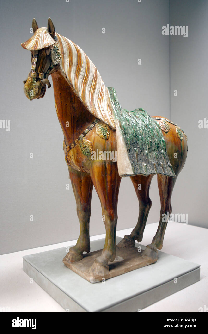 Tang horse Banque de photographies et d'images à haute résolution - Alamy