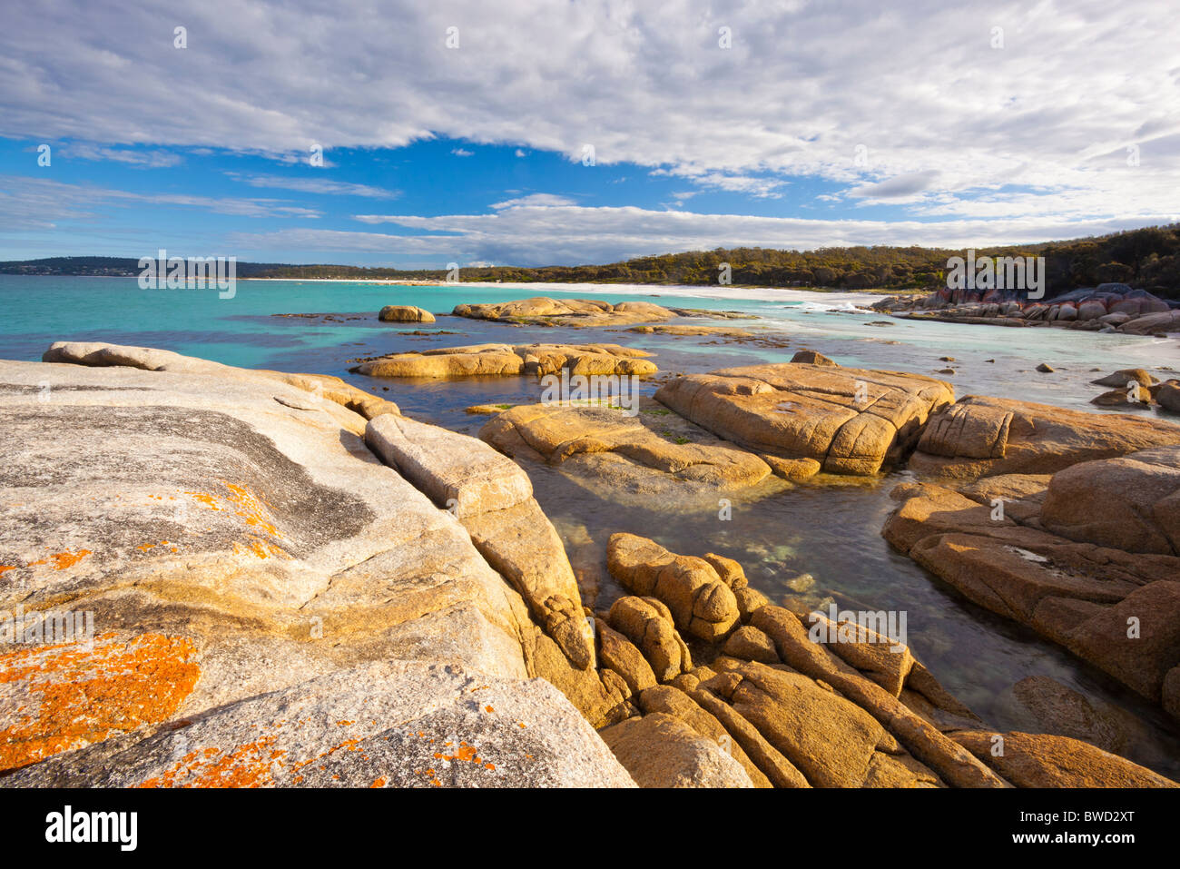 Des roches couvertes de lichen rouge au coin douillet dans la baie de forêt sur la côte est de Tasmanie Banque D'Images
