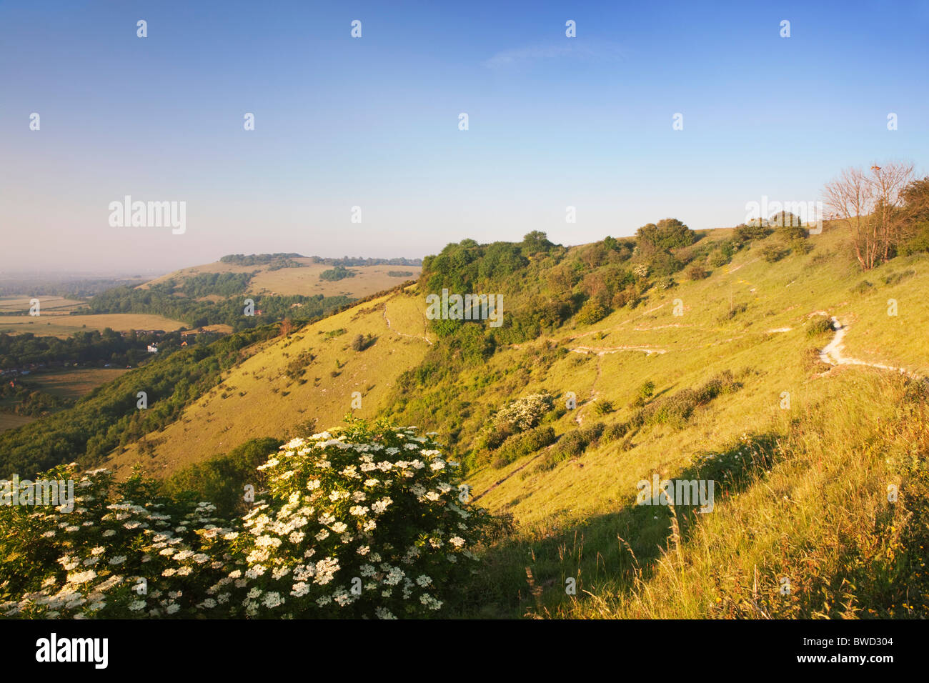 Coucher de soleil sur les South Downs, West Sussex, Angleterre, Grande-Bretagne Banque D'Images