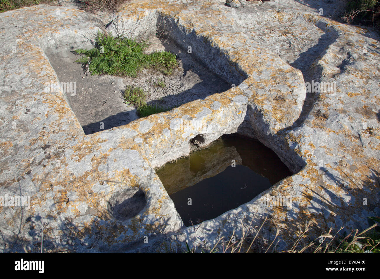 Soi-disant découpes rock appelé 'panier' ornières et datant de la préhistoire sont disponibles à plusieurs endroits sur les plateaux rocheux à Malte. Banque D'Images