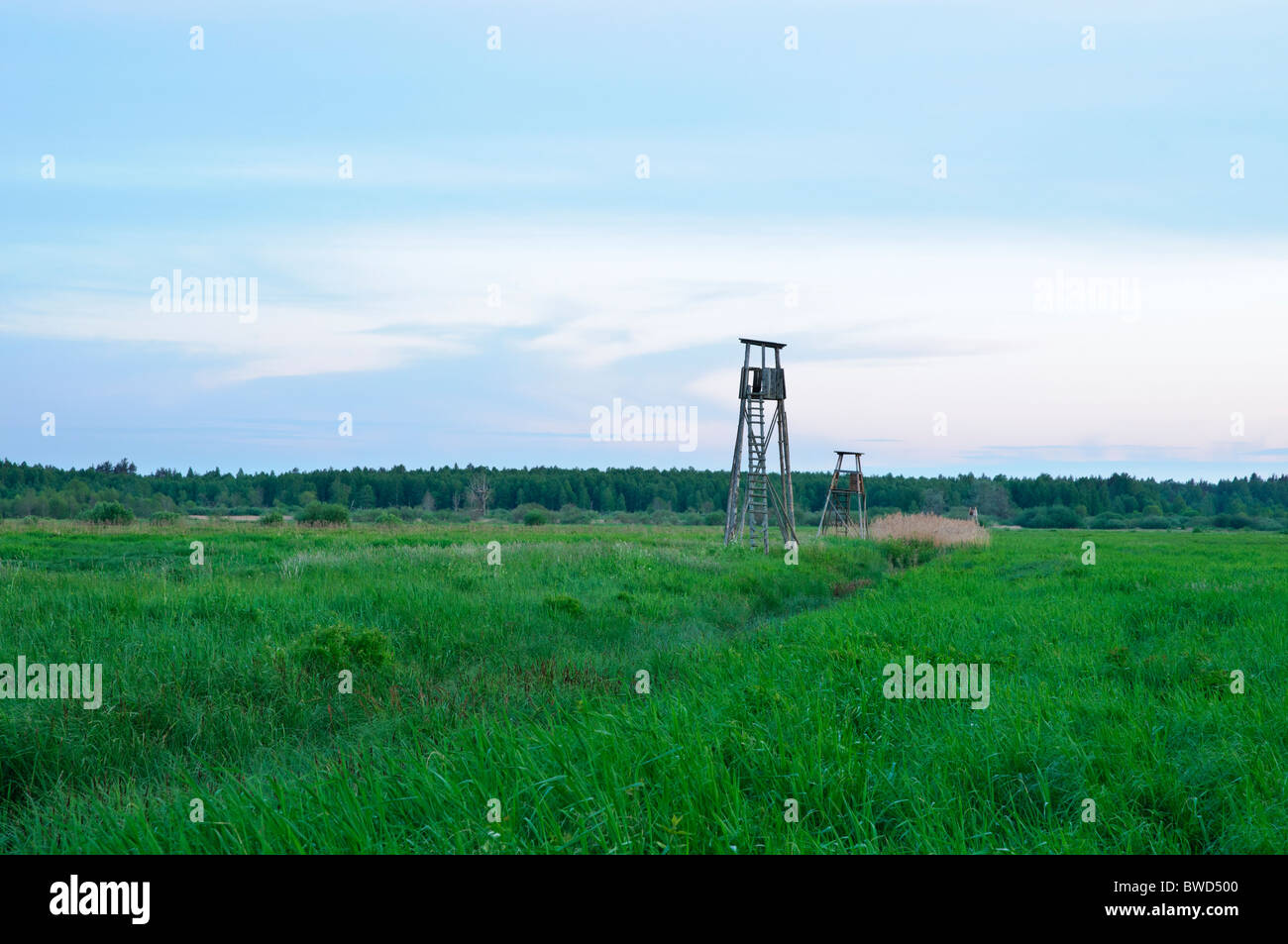 Les tours de chasse au crépuscule dans le nord de la Lettonie Banque D'Images
