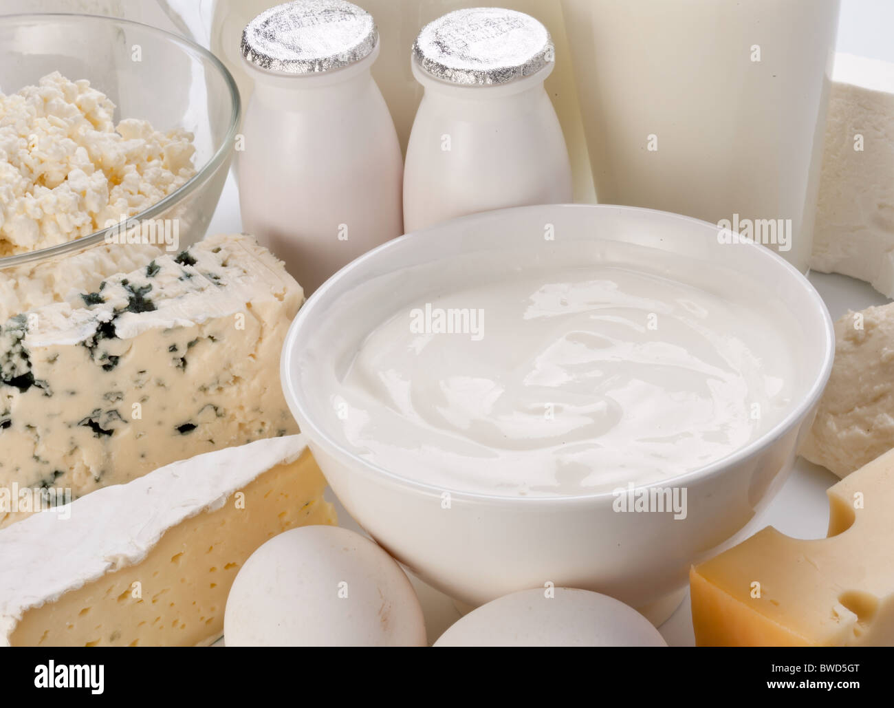 Produits de protéines : fromage, crème, lait, œufs. Sur un fond blanc. Banque D'Images