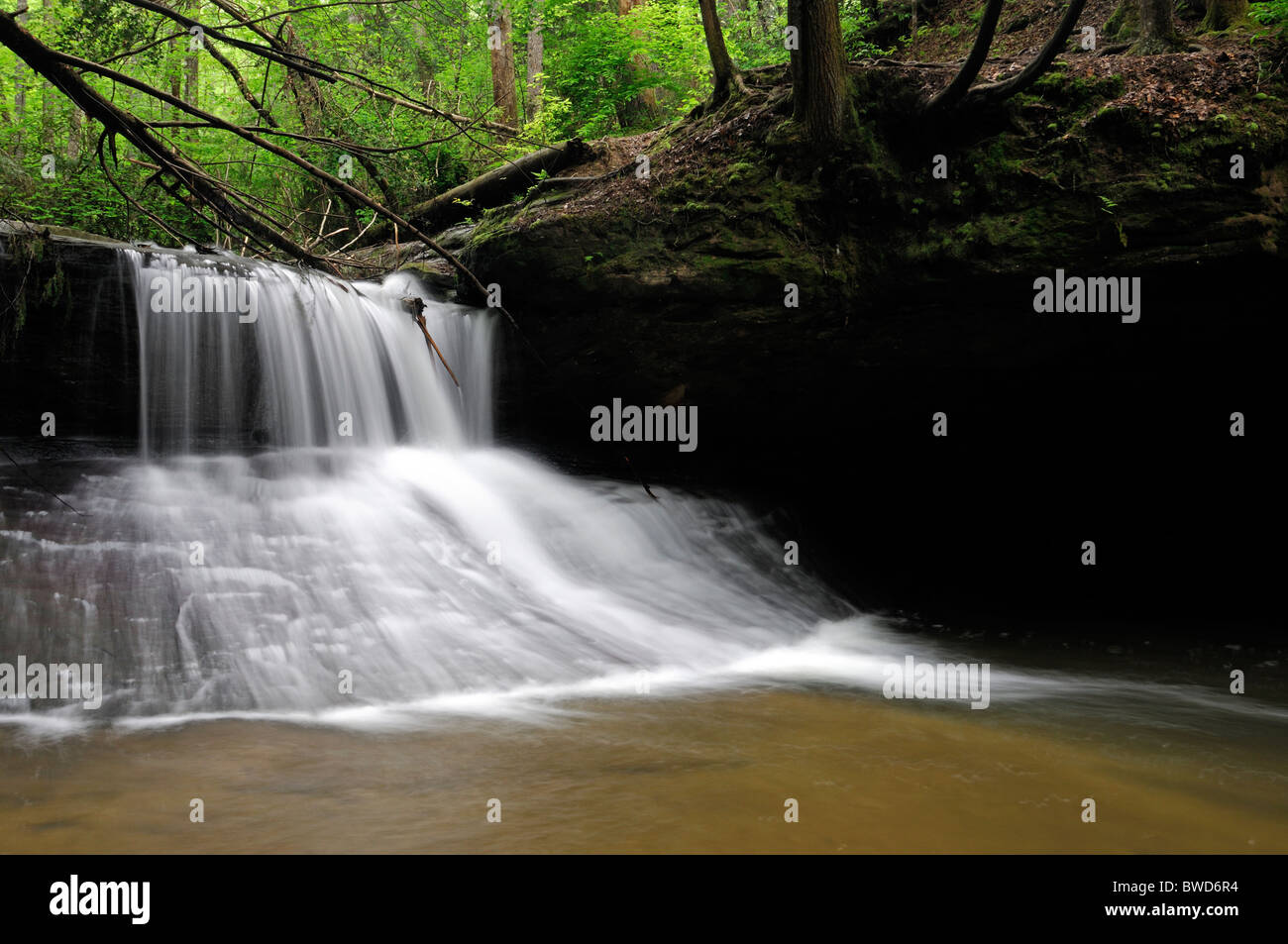 Chutes d'eau de création Red River Gorge Wilderness Clifty zone géologique Daniel Boone National Forest Florida Banque D'Images