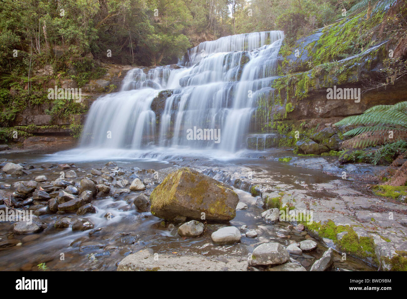 Charmante Liffey Falls au coeur d'une des forêts du nord de la Tasmanie Banque D'Images