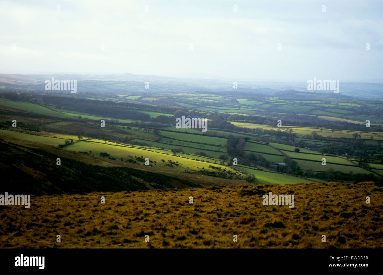 Vue sur les champs et les haies à la recherche vers le nord à partir de Dartmoor National Park, Devon, Angleterre Banque D'Images