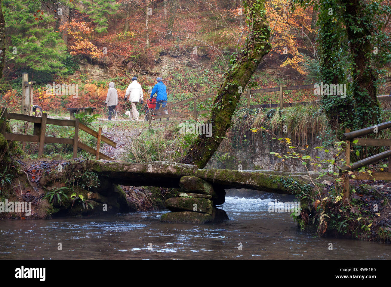 Une famille avec un automne à pied, passer l'ancienne ' dame vale ' clapper bridge à cardinham woods près de Bodmin à Cornwall, uk Banque D'Images