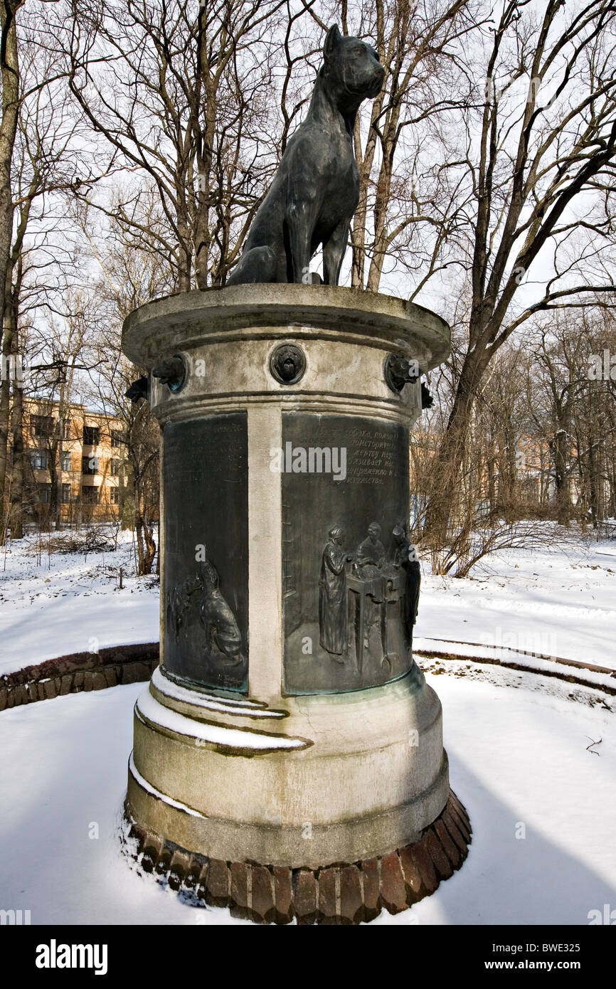 Monument à 'Ivan Pavlov's dog" à "l'Institut de médecine expérimentale', St Petersburg, Russia Banque D'Images