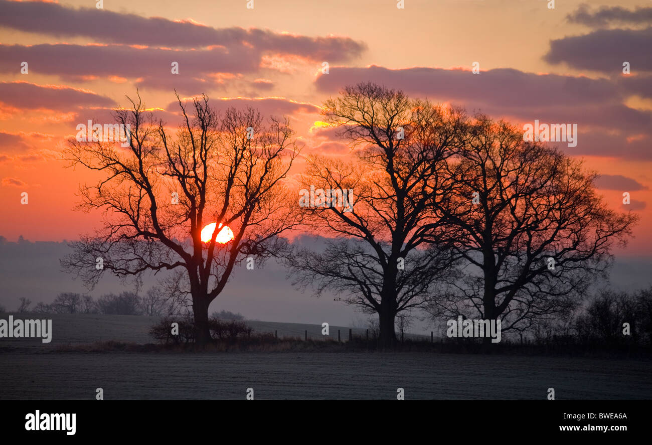 Soleil d'hiver s'élève de Misty Rother valley sur des collines boisées en rouge ciel avec nuages doré violet UK Kent près de b-5573 Banque D'Images