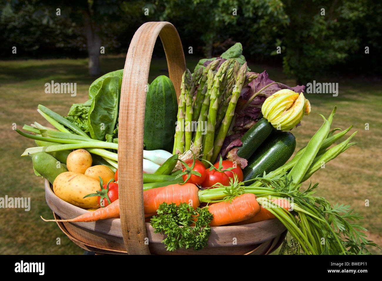 Trug colorés de produits locaux fraîchement cueilli de légumes d'été en pays jardin avec arbres dans le Weald of Kent UK Banque D'Images