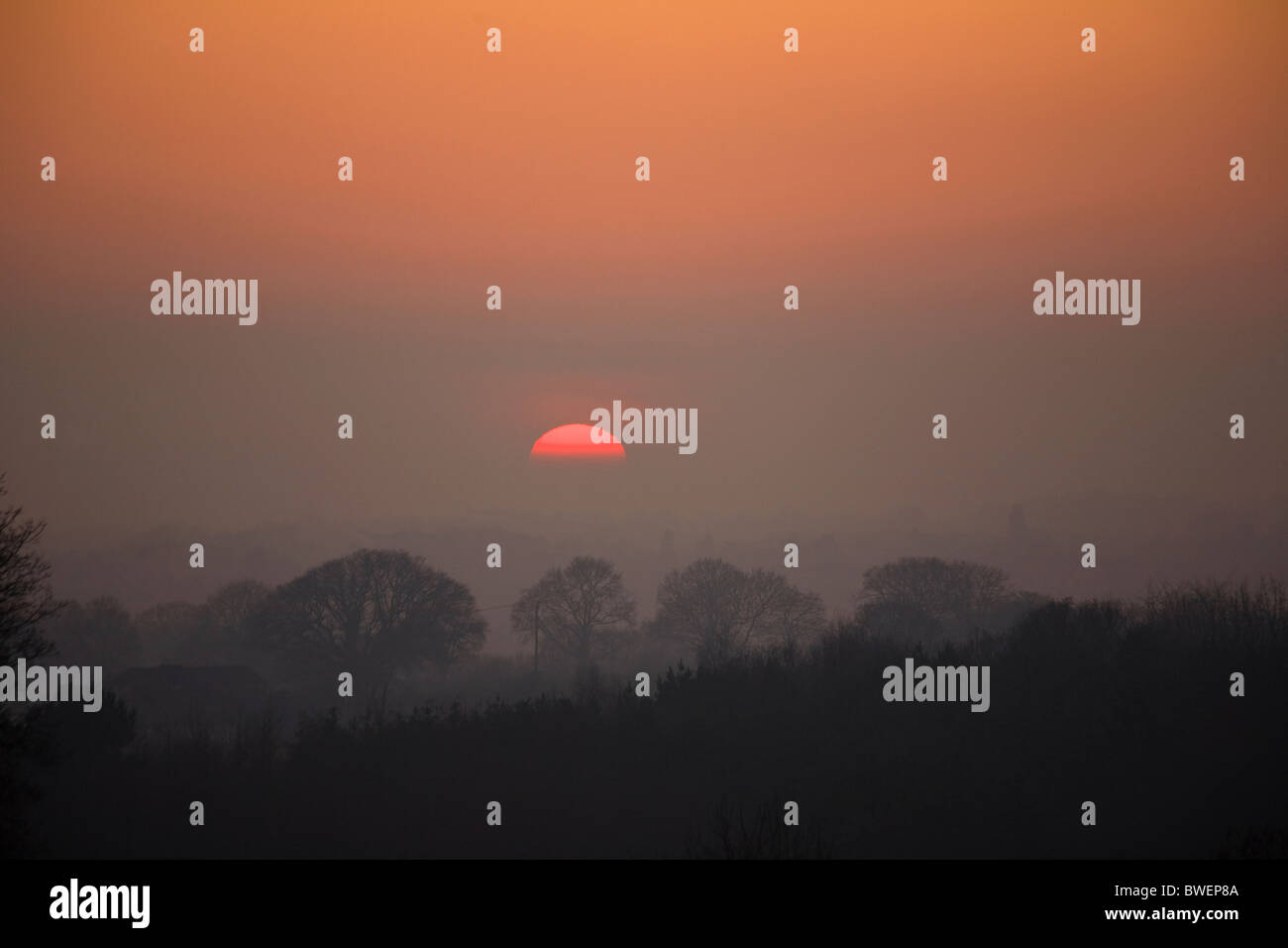 La moitié flottante mystérieuse de soleil en hiver la hausse la brume et le brouillard sur une vallée boisée sombre sous le ciel rouge près de Hawkhurst Kent Banque D'Images