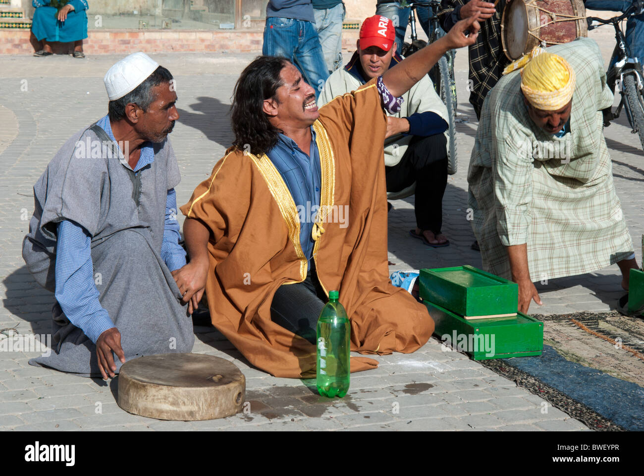 Enigme de serpent à Meknes, Maroc. Banque D'Images