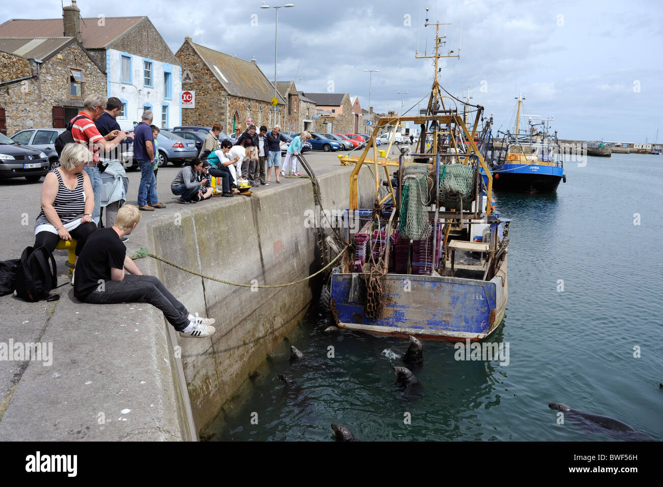 Joint dans le port de pêche de Howth, mer d'Irlande,Co. Dublin, Irlande  Photo Stock - Alamy