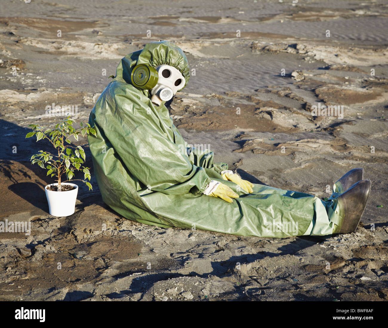 Spécialiste de l'environnement et d'une plante dans un pot, dans le désert Banque D'Images