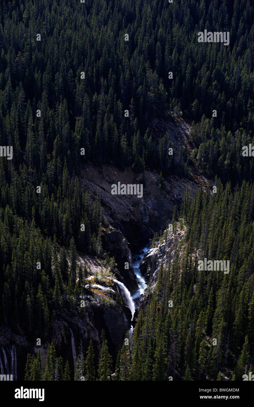 Une cascade au milieu des pins dans le Parc National de Jasper dans les Montagnes Rocheuses du Canada Banque D'Images