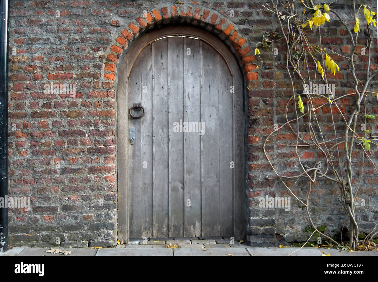 Vieille porte en bois voûté en brique Banque D'Images