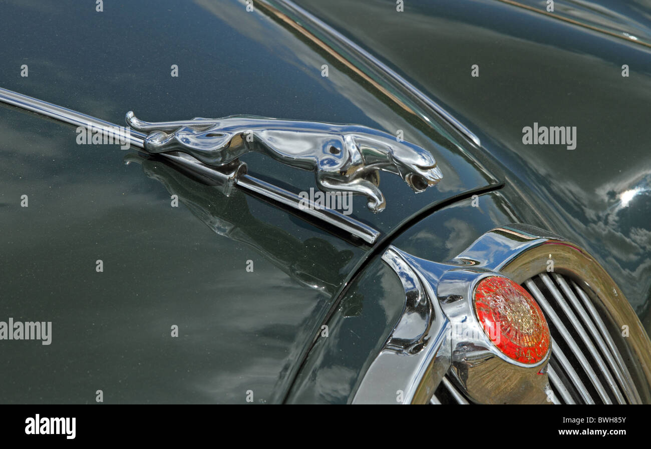 Emblème sur un 1967 Jaguar S Type location Banque D'Images