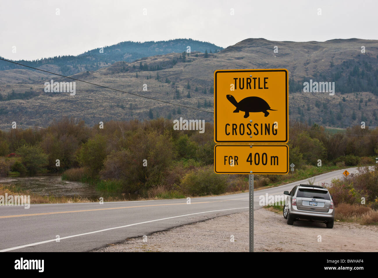 Turtle crossing sign, sud de l'Okanagan (C.-B.) Osoyoos Banque D'Images