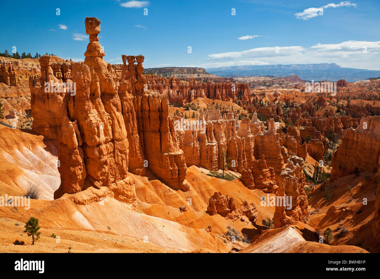 Le marteau de Thor, paysage rocheux avec cheminées, Bryce Canyon National Park, Utah, USA Banque D'Images