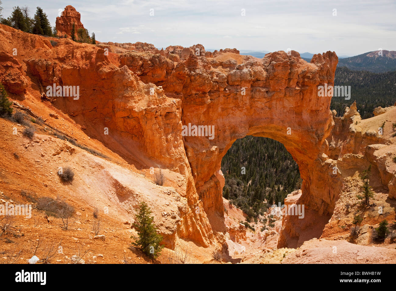 Pont naturel en pierre naturelle, arch, Bryce Canyon National Park, Utah, USA Banque D'Images