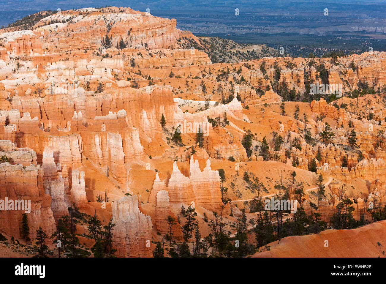Paysage rocheux avec cheminées, Bryce Canyon National Park, Utah, USA Banque D'Images