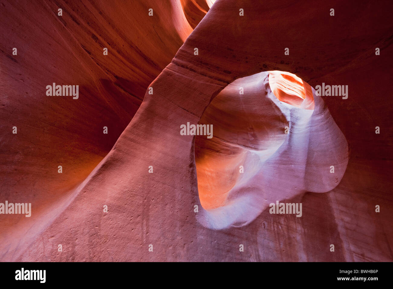 Peek-a-boo Slot Canyon, trou dans le Rock Road, Grand Staircase-Escalante National Monument, Utah, USA Banque D'Images