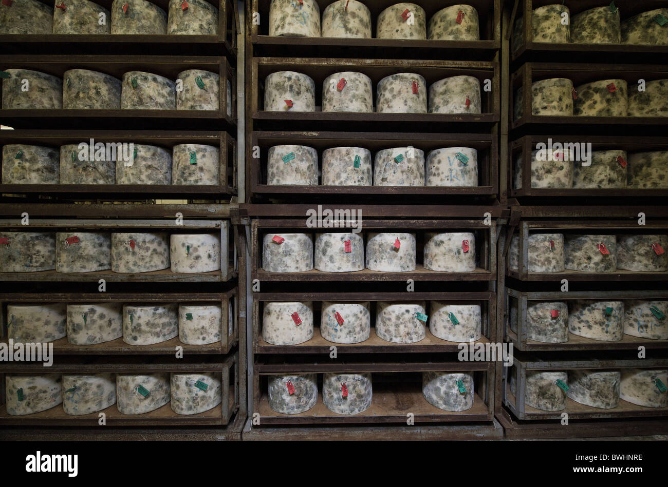 Les grandes tours de fromage d'affinage à la ferme de fromages traditionnels Quickes, Devon Banque D'Images