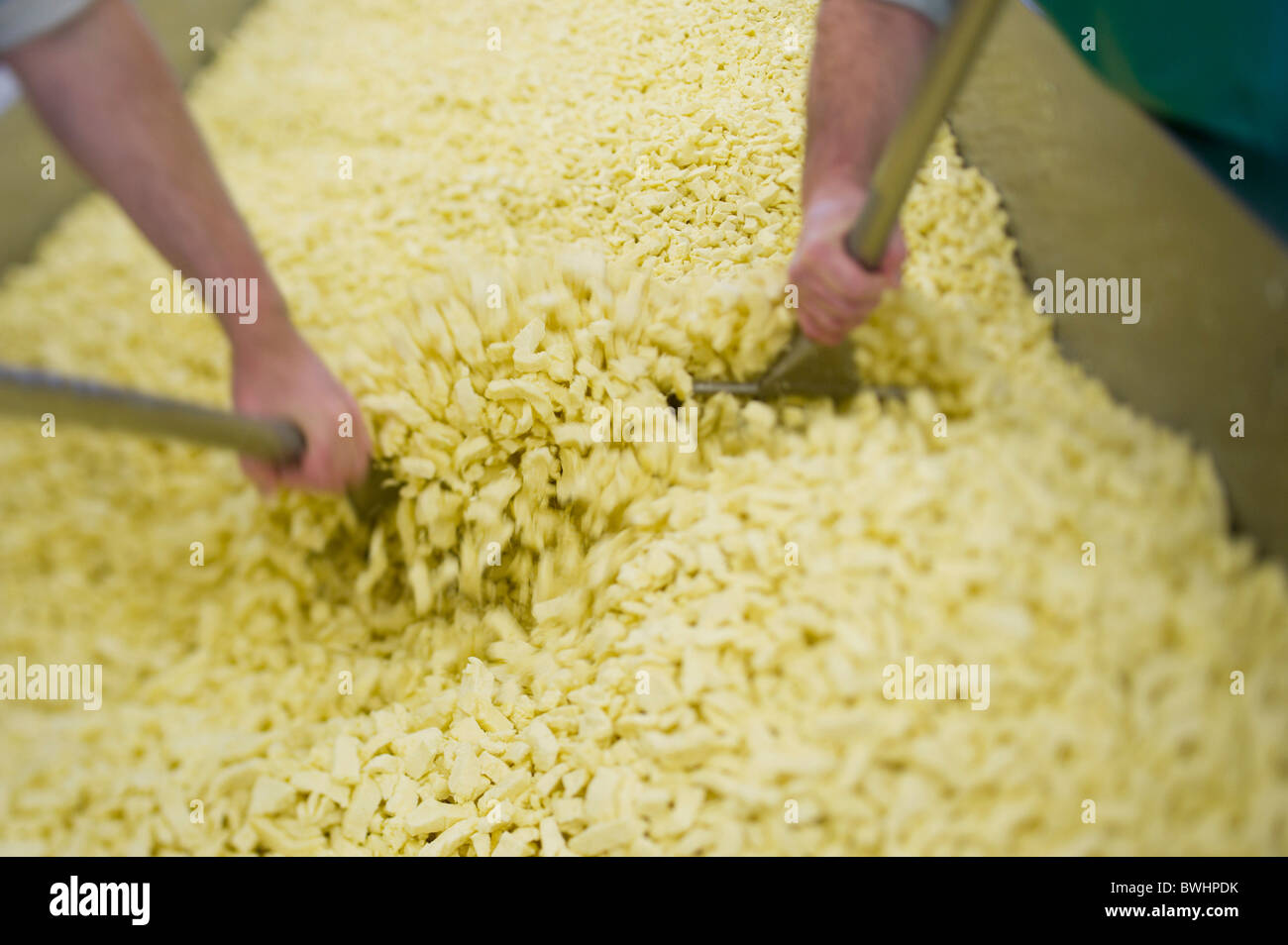 Mélanger les différentes pâtes au fromage traditionnel Quickes farm, Devon Banque D'Images