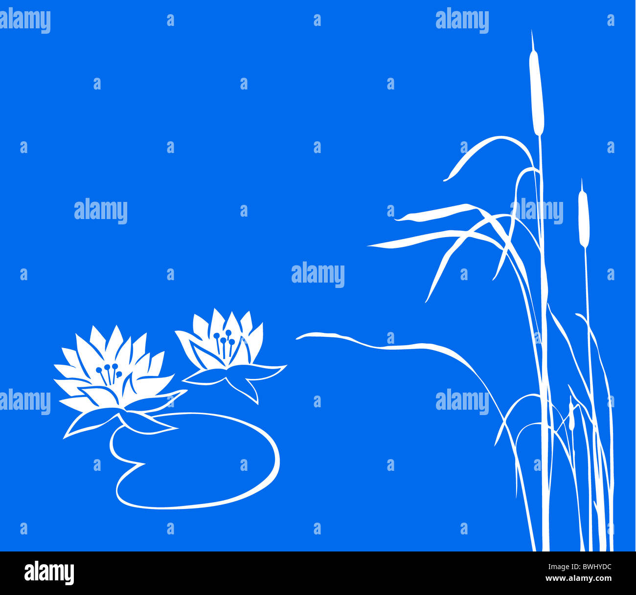 Water Lily et reed sur fond bleu. vector Banque D'Images