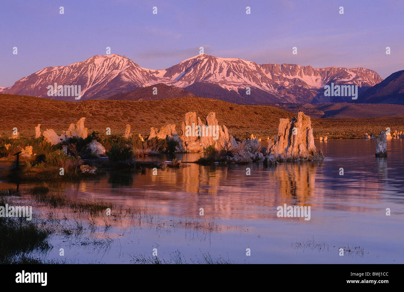 Lac Mono réserve d'état de tuf calcaire de l'eau du lac Crater Lake Tufas Hoodoos pierre de tuf bizarre bizarre bizzare scenery Banque D'Images