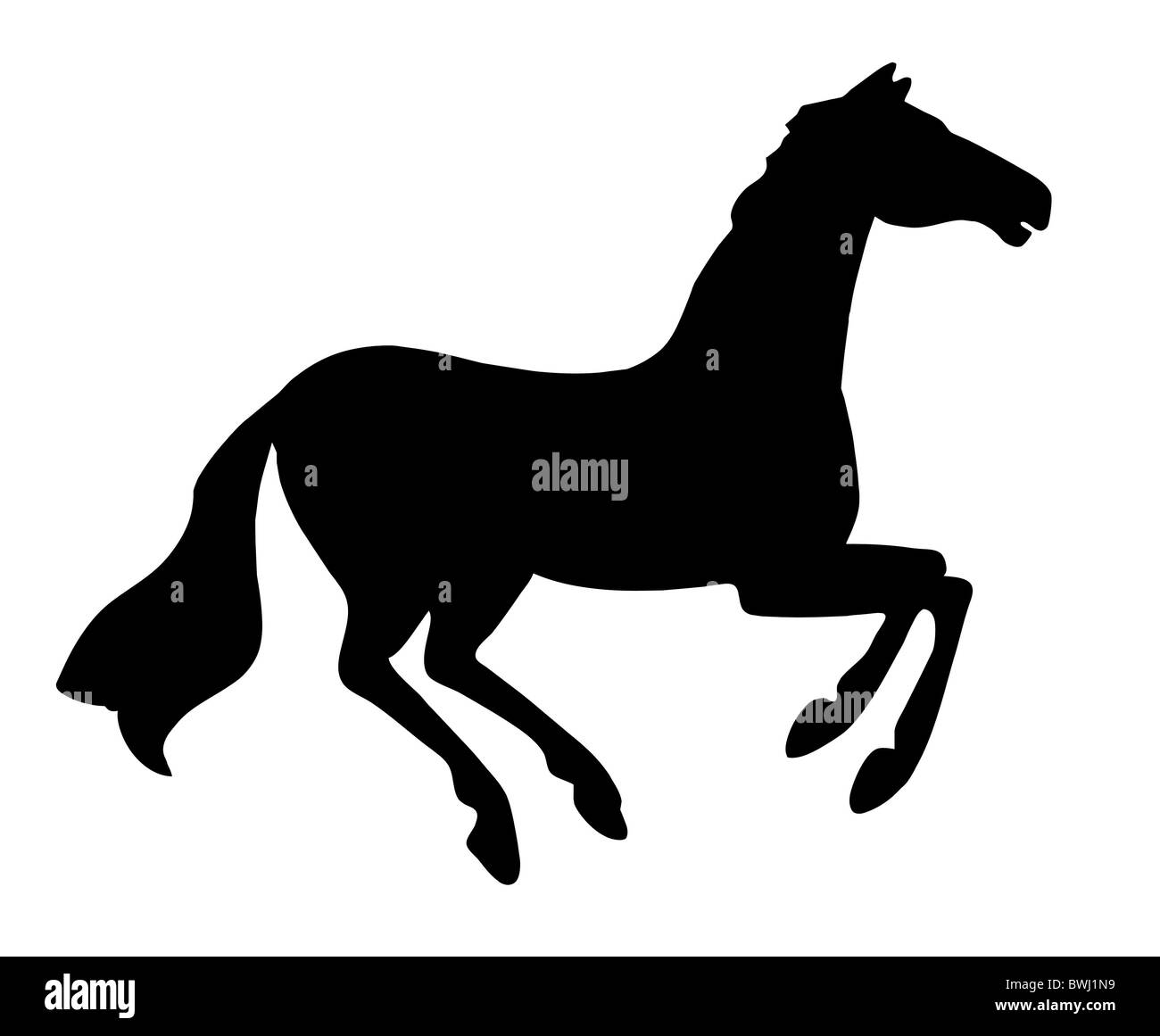 R cheval silhouette sur fond blanc Banque D'Images