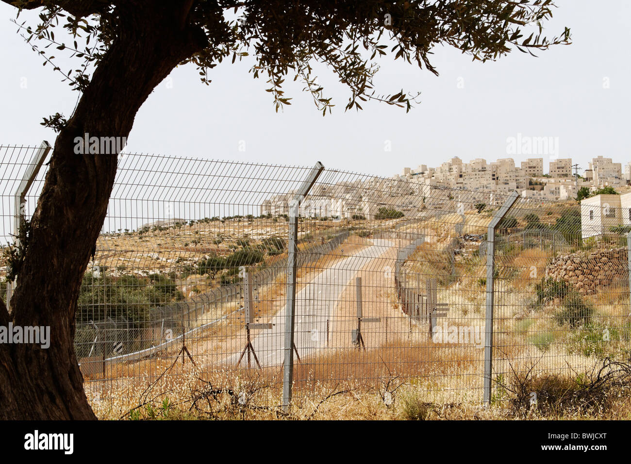 Hilltop juive de peuplement Har Homa, vue derrière le mur, en Cisjordanie, en Palestine Banque D'Images