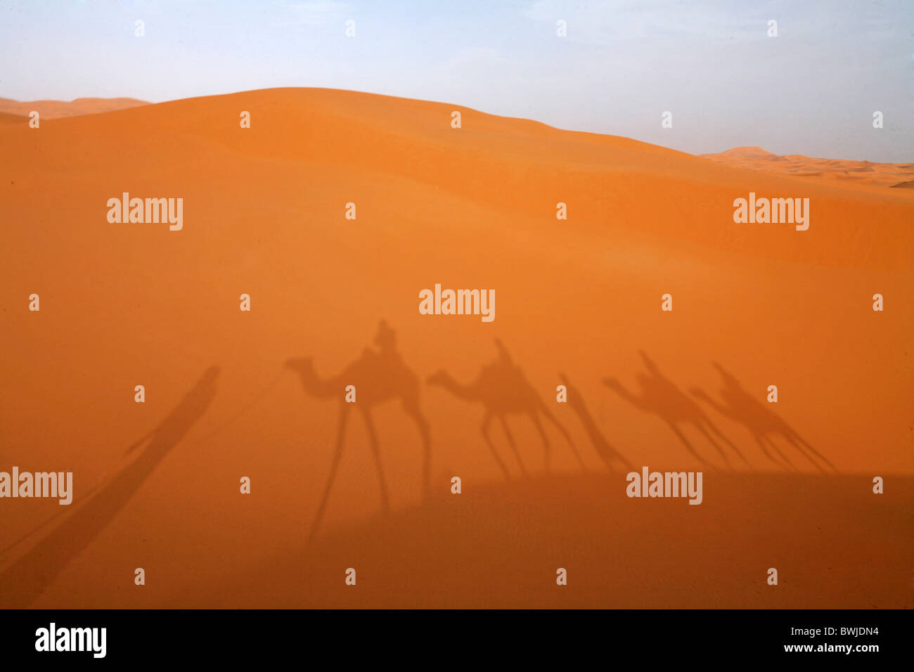 Jeter de l'ombre des tons sable silhouettes camel tour des dunes de sable du désert caravane chameaux Sahara Merzouga Marrokko Banque D'Images